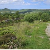 Birding The Cleveland Way – Battersby Moor to Captain Cooks Monument