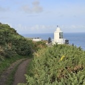 Birding The Cleveland Way – Sandsend To Robin Hoods Bay