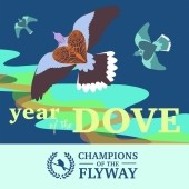 Year of the Dove - Turtle Dove International Campaign