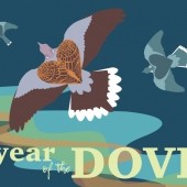 Where to see Turtle Doves, Help Conservation and Drink Beer!