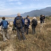 India 2018 client review Alwin and Tony