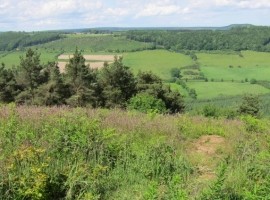 North Yorkshire Forests