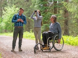 Bird Sound Safari - Dalby Forest 2025