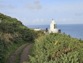 Birding The Cleveland Way – Sandsend To Robin Hoods Bay