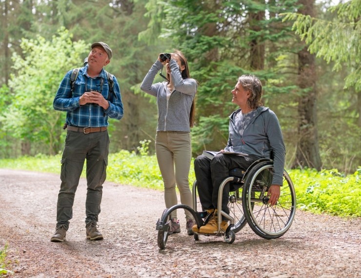 Bird Sound Safari - Dalby Forest 2025