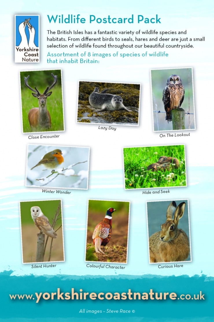 Wildlife Postcard Pack