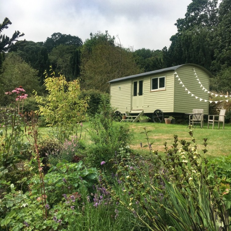 Gumboots & Wellingtons