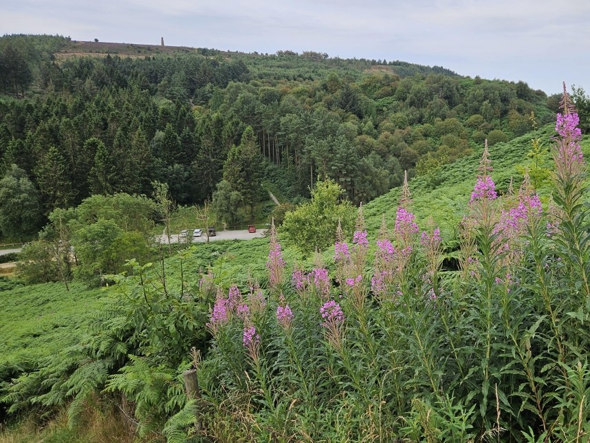  Overlooking Gribdale Car Park and Captain Cooks Monument © Richard Baines