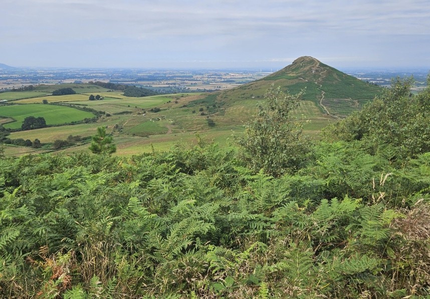  Roseberry Topping July 2024 © Richard Baines