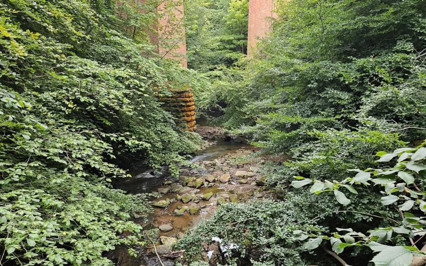  Skelton Beck and Saltburn Valley Gardens August 2024 © Richard Baines