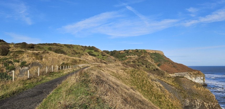  Sandsend Quarries - October 2024 © Richard Baines