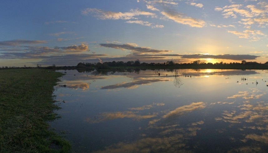  The Lower Derwent Valley National Nature Reserve © Richard Baines