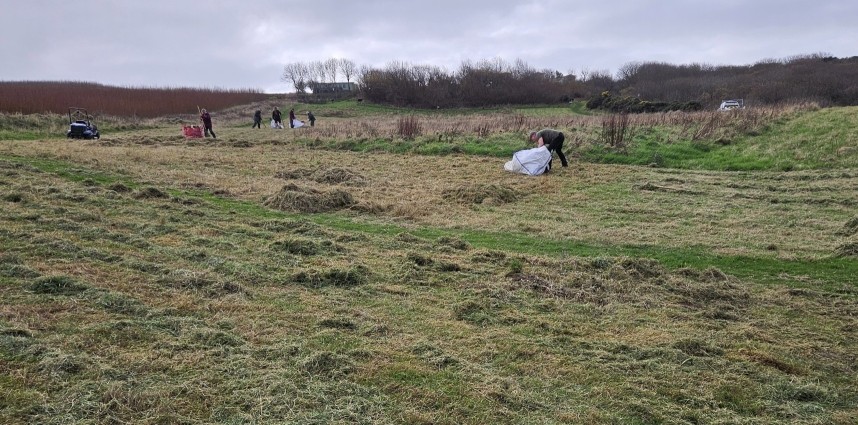  Volunteers working on the meadow - Hawsker Bottoms 12 November 2024 © Richard Baines