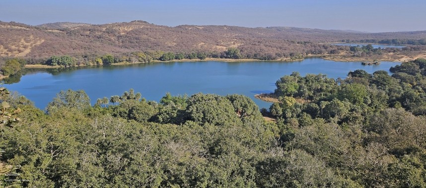  View Across Ranthambore from the Fort. 15 Dec 2024 © Richard Baines