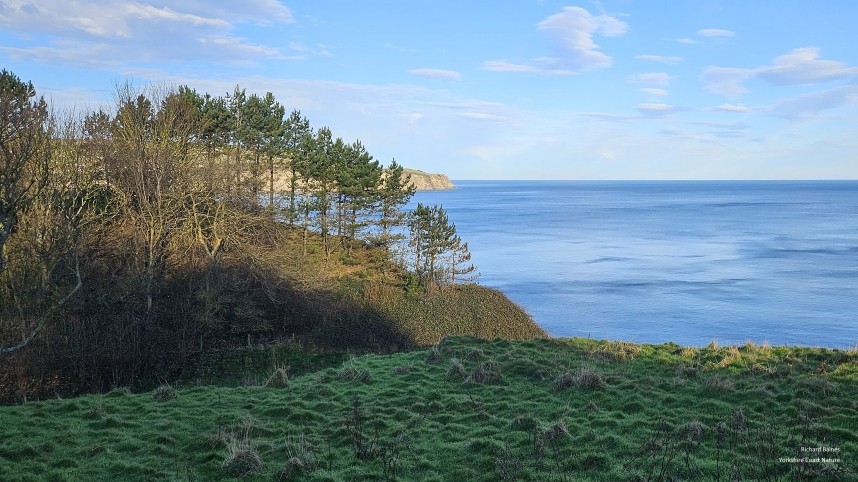  Looking north across Robin Hoods Bay - 25 December 2024 © Richard Baines