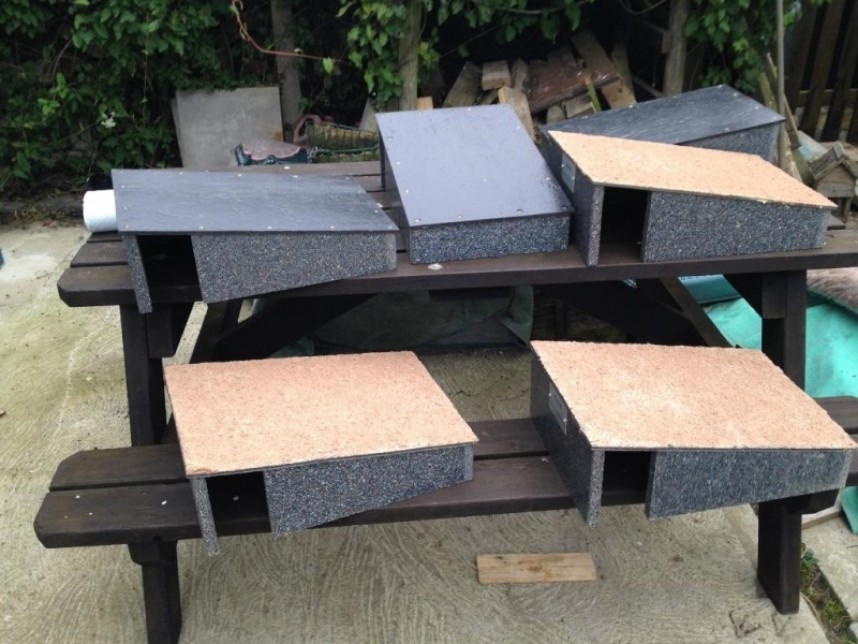 Nest Boxes supplied by Green Future Building