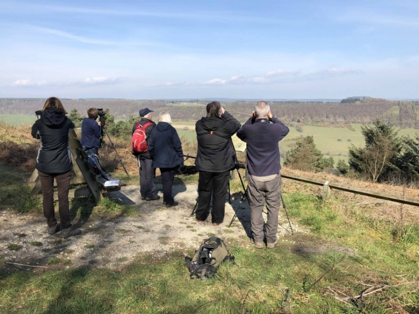  Our forest and River Birding Group watching raptors © Richard Baines