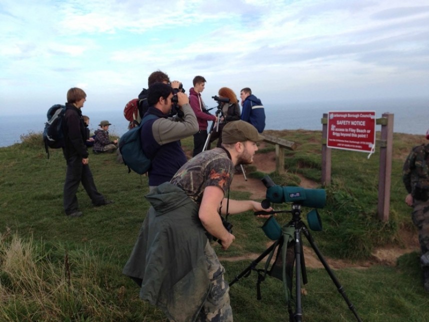 Birding Flamborough Headland on a free migweek walk © Richard Baines