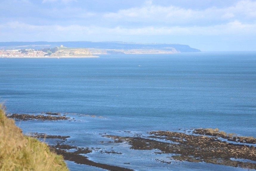 North Yorkshire coastline © Richard Baines