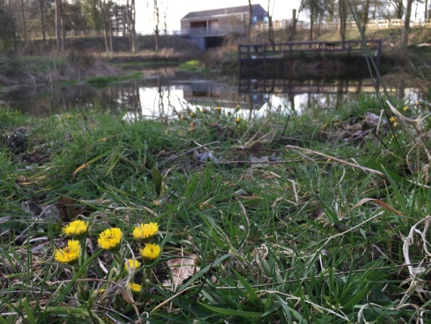 View of 'D' Res Hide and Pond © Margaret Boyd