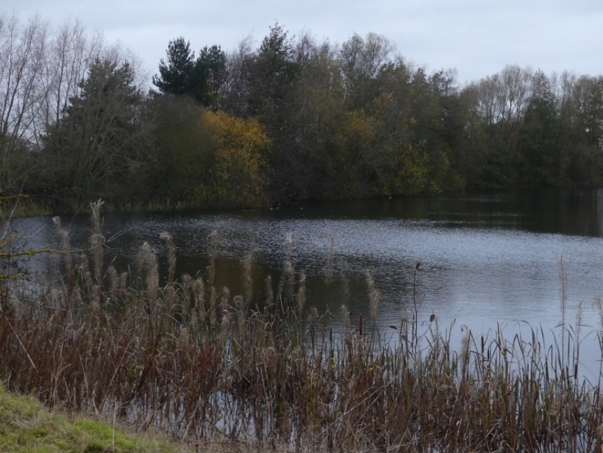  Village Lake © Margaret Boyd