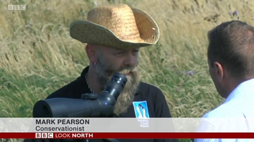 Mark talks Yorkshire coast migration on the BBC (complete with Harpia, as always!) © Mark Pearson