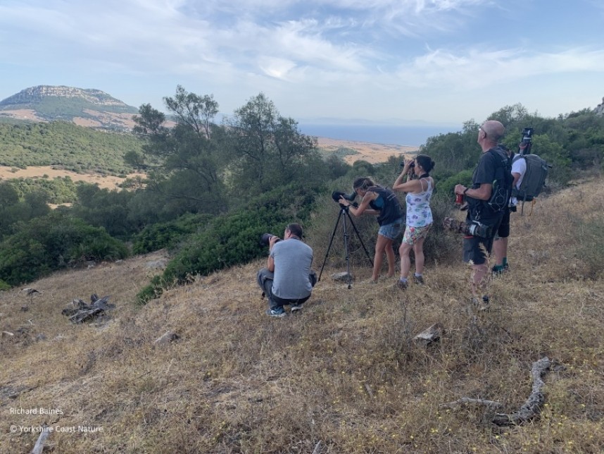 The wild hills of Tarifa August 2022 © Richard Baines