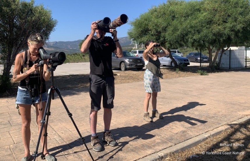 Too many raptors for one set of optics! 2022 © Richard Baines