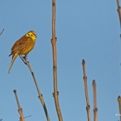 Never Trust What You Read