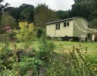 Gumboots & Wellingtons