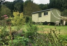 Gumboots & Wellingtons