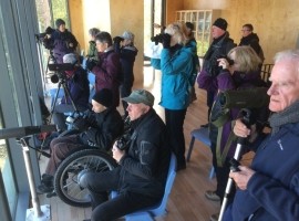 Accessibility Statement and General Information