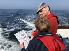 Seabirds and Whales - Twilight Trips 2026