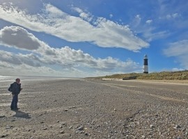 Spurn Birding Holiday - Autumn Migrants 2027