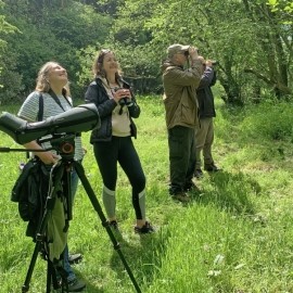 Birdwatching Course - Spring 2026
