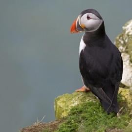 2026 Wildlife Photography For Beginners Workshop