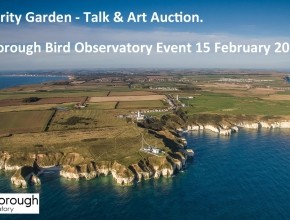 Rarity Garden - Art Auction - Flamborough Bird Observatory 15 Feb