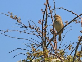 Spurn in spring - an unforgettable YCN Week!