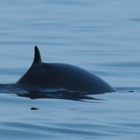 Yorkshire Coast Nature - Nature Tours, Workshops & Gallery