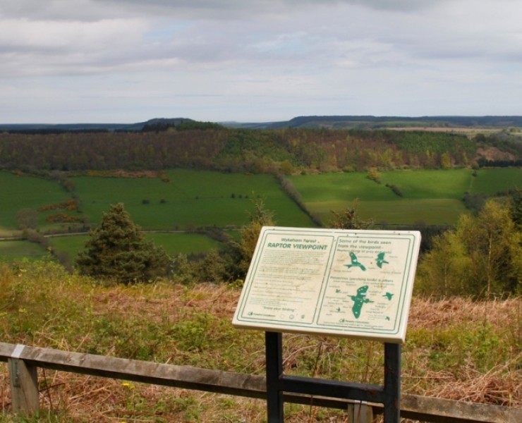North Yorkshire Forests