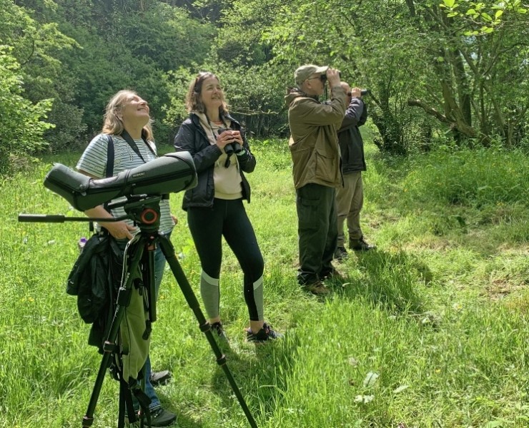 Birdwatching Courses - Beginners And Intermediate Levels 2024