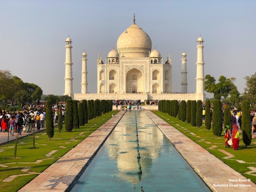 The Taj Mahal © Steve Race
