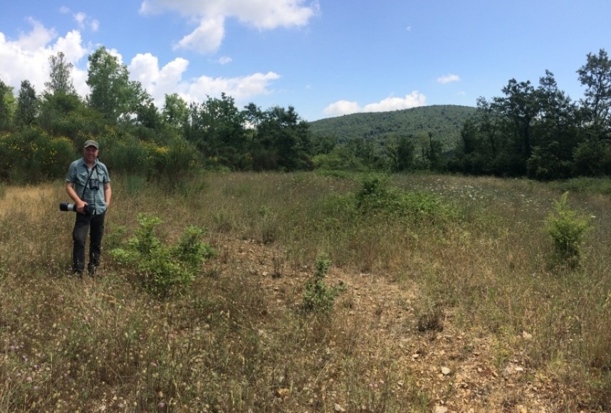 Richard Baines YCN Director in the woodland meadows of northern Italy July 2019 © Jo Ruth