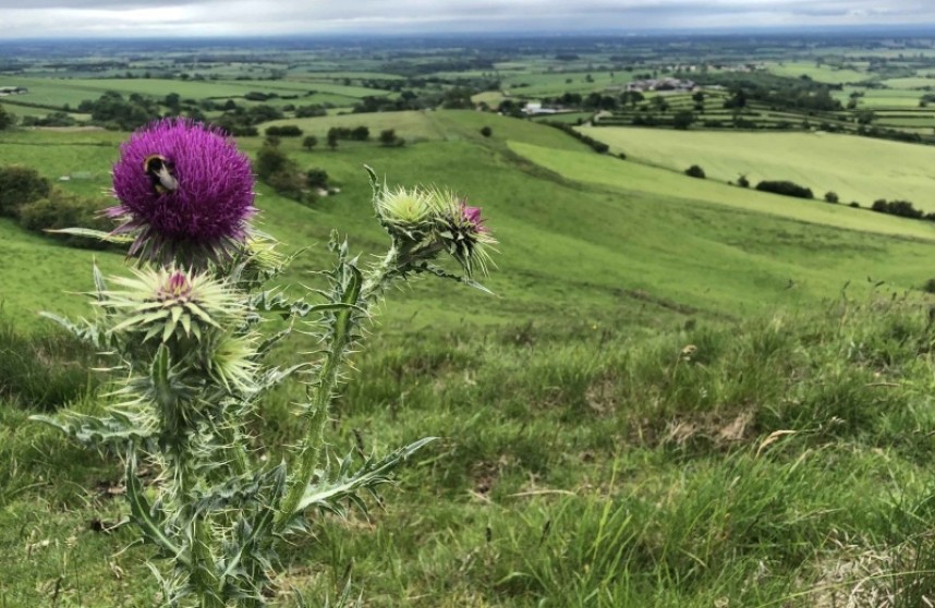 View from Wooing Nab © Richard Baines