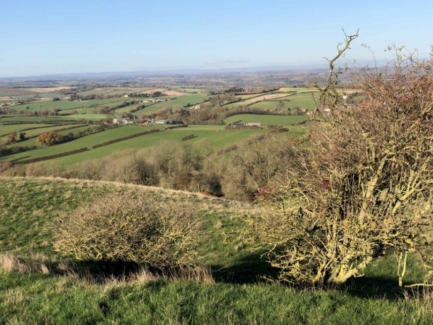 View from the farm © Richard Baines