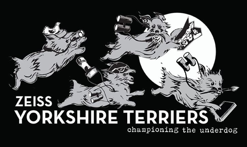 Terriers logo by awesome local designer Jo Ruth