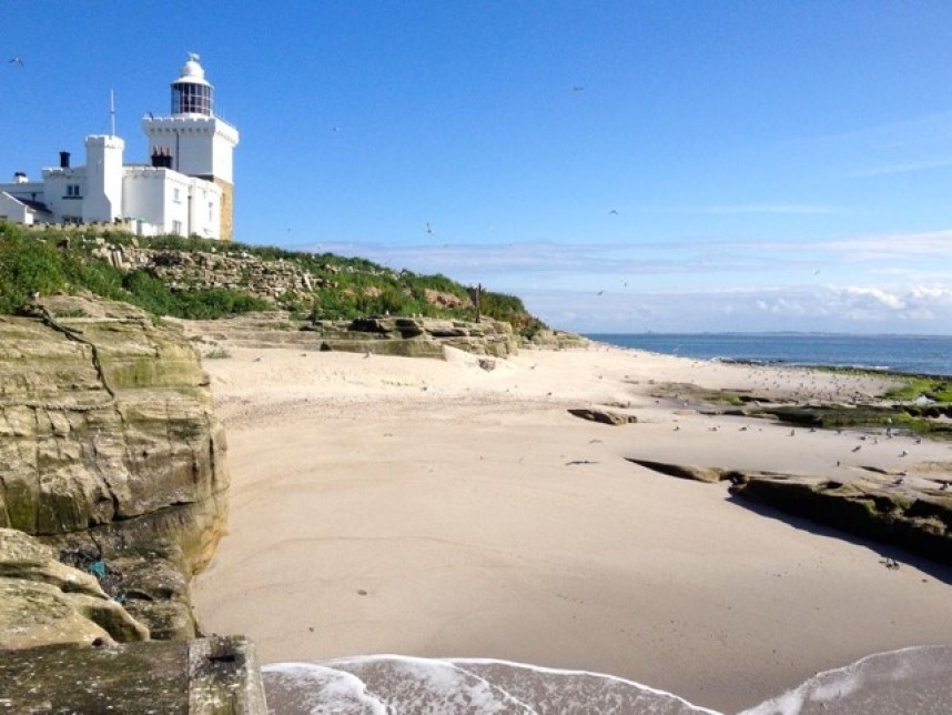 The lighthouse on Coquet photo by RSPB