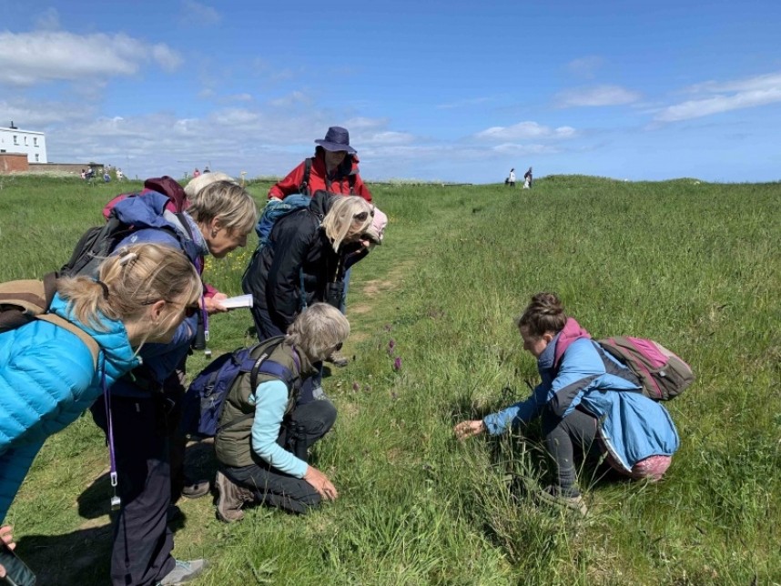  YCN Wild Flower Walk at Flamborough with Claire Bending leading the group © Richard Baines
