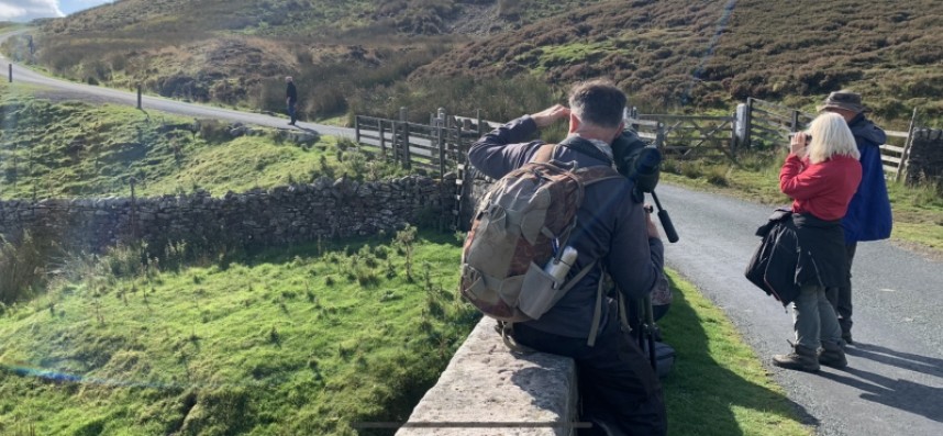 Birding the Uplands with YCN guide John McLoughlin