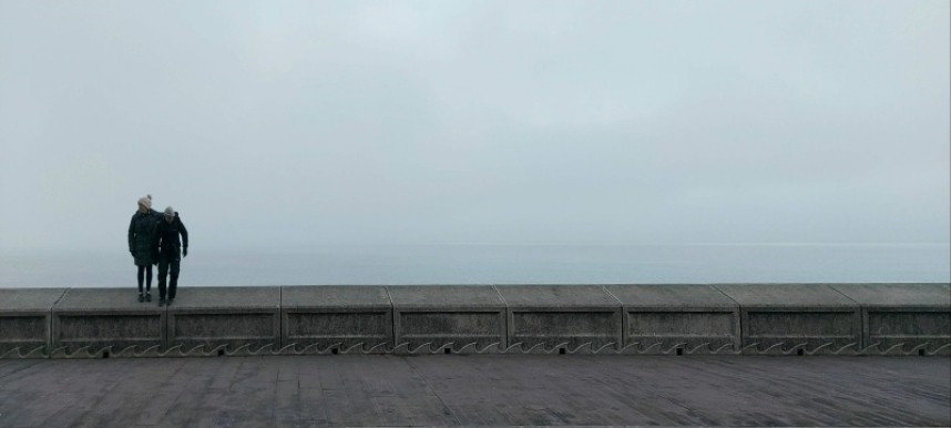 Porpoises to the left of me, Peregrine to the right - here I am.... © Mark Pearson